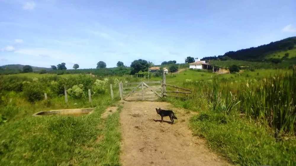 Fazenda, 2 hectares - Foto 3