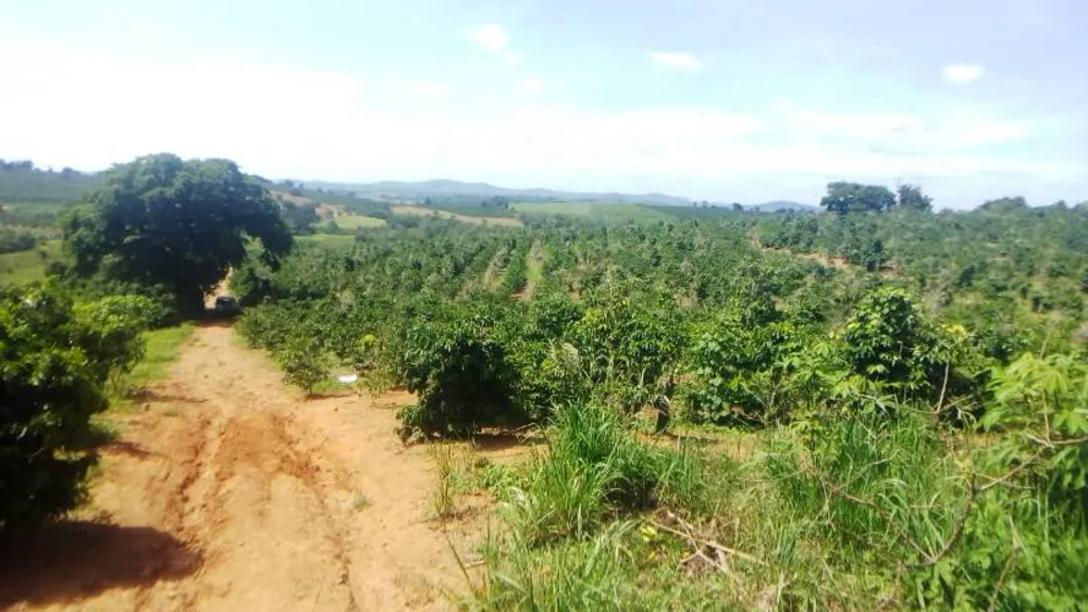 Fazenda, 2 hectares - Foto 5