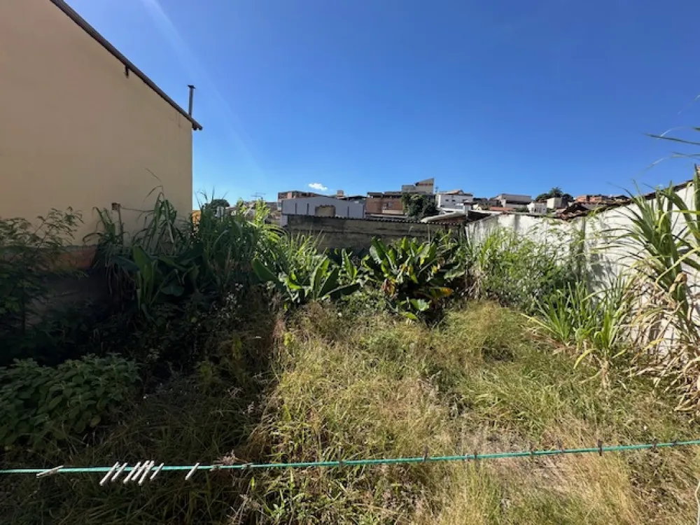 Casa, 3 quartos, 360 m² - Foto 13