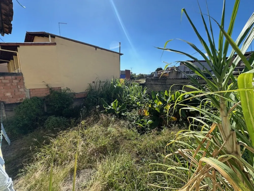 Casa, 3 quartos, 360 m² - Foto 14