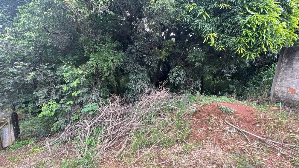 Terreno, 513 m² - Foto 12