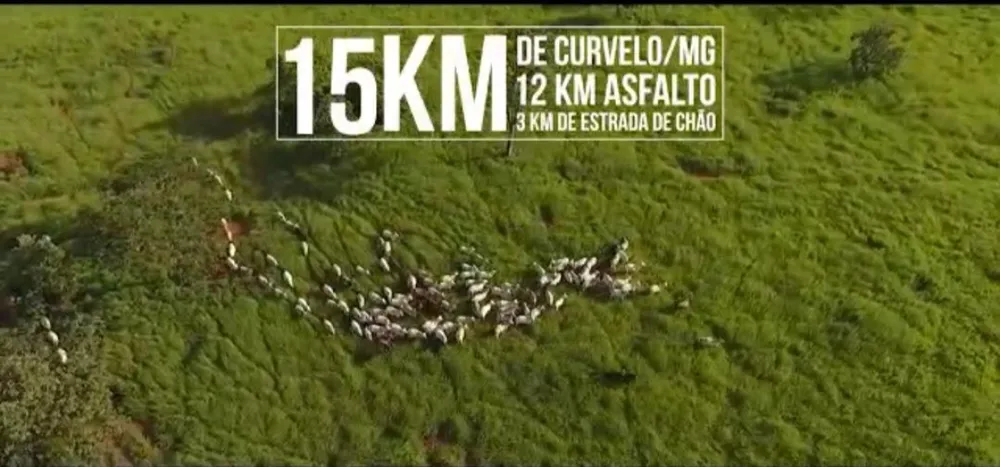 Fazenda, 1 quarto - Foto 10