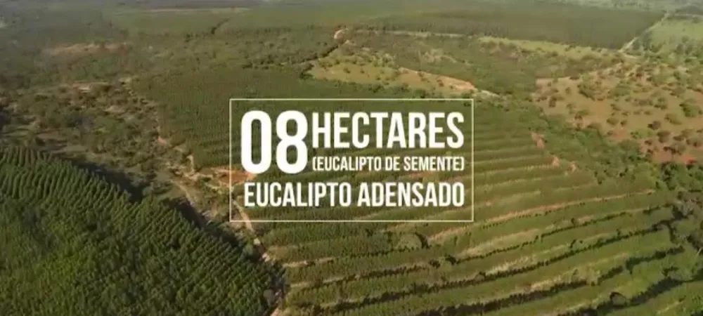 Fazenda, 1 quarto - Foto 4