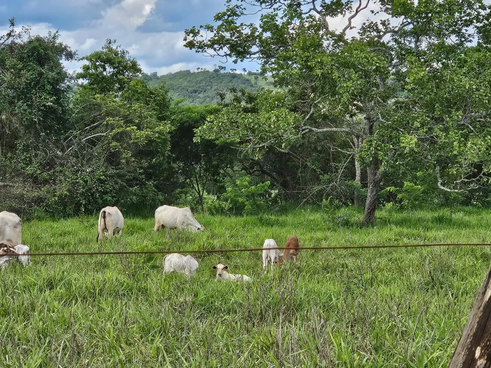 Fazenda, 1 quarto - Foto 8