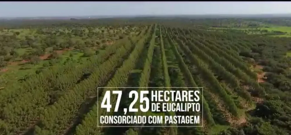 Fazenda, 1 quarto - Foto 6