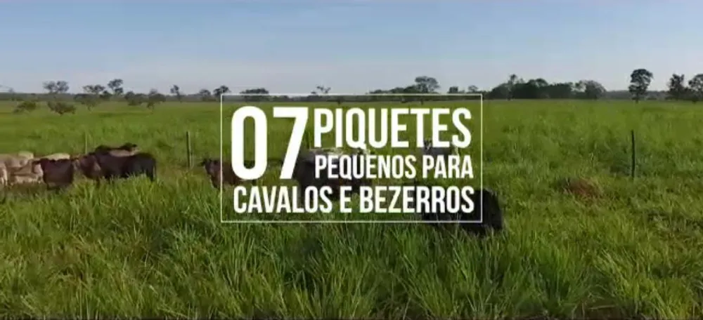 Fazenda, 1 quarto - Foto 14