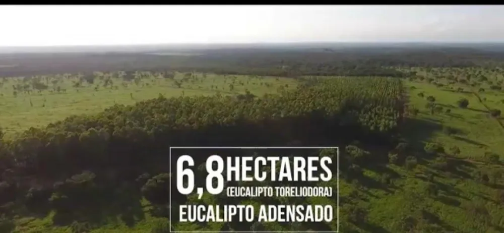 Fazenda, 1 quarto - Foto 5