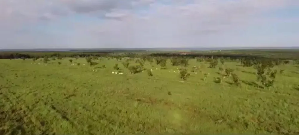 Fazenda, 1 quarto - Foto 3
