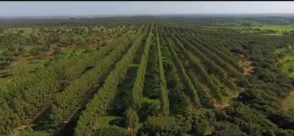 Fazenda, 1 quarto - Foto 12