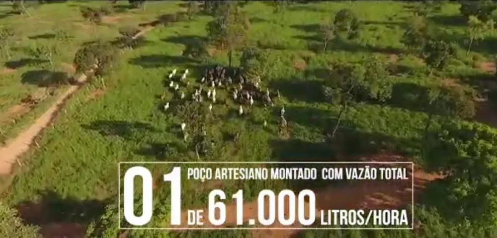 Fazenda, 1 quarto - Foto 10