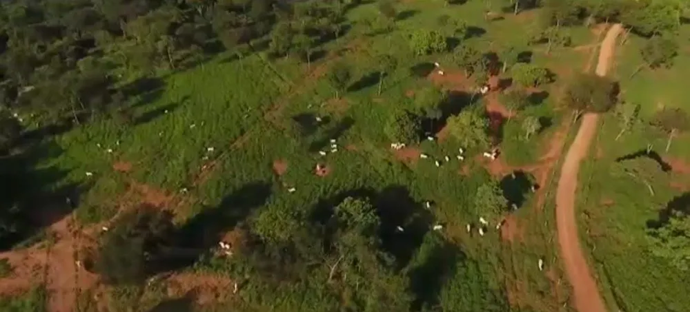 Fazenda, 1 quarto - Foto 6