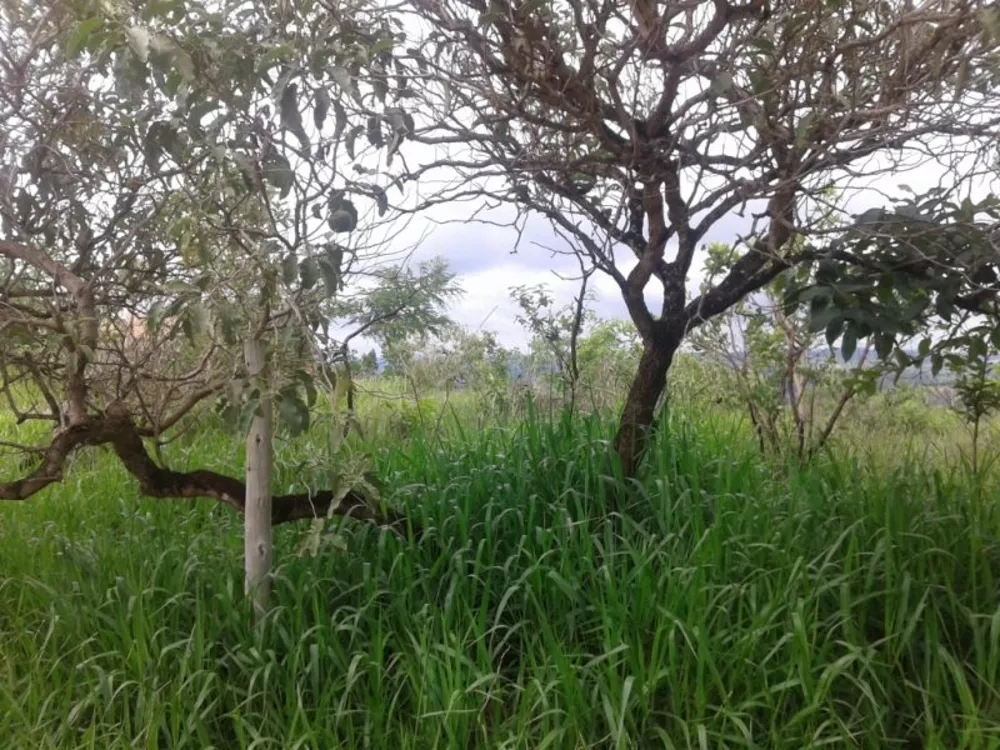 Terreno à venda, 1000m² - Foto 4