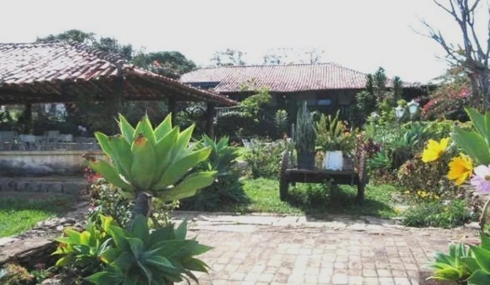 Fazenda, 277 hectares - Foto 7