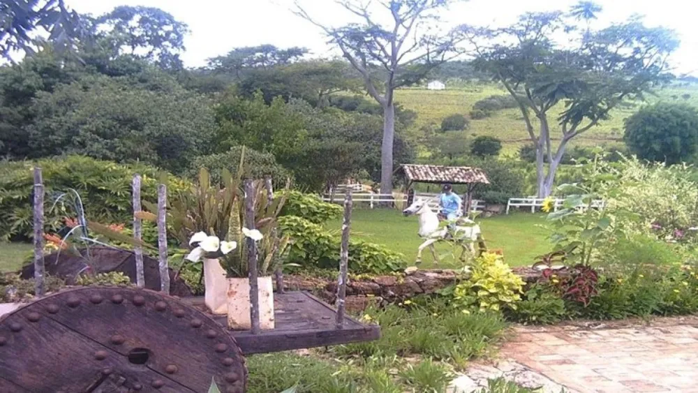 Fazenda, 277 hectares - Foto 4