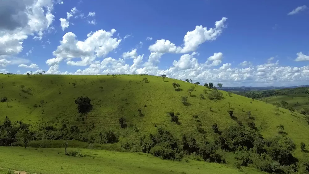 Chácara à venda com 1 quarto, 2200000m² - Foto 5