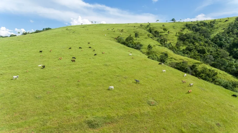 Chácara à venda com 1 quarto, 2200000m² - Foto 17