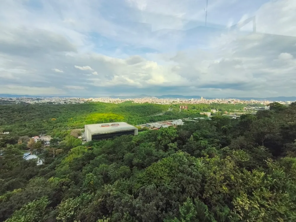 Cobertura, 4 quartos, 256 m² - Foto 8