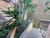 Apartamento, 3 quartos, 70 m² - Foto 11