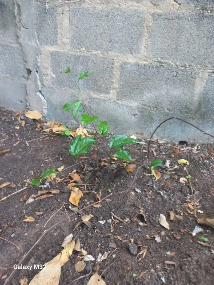 Terreno, 360 m² - Foto 8