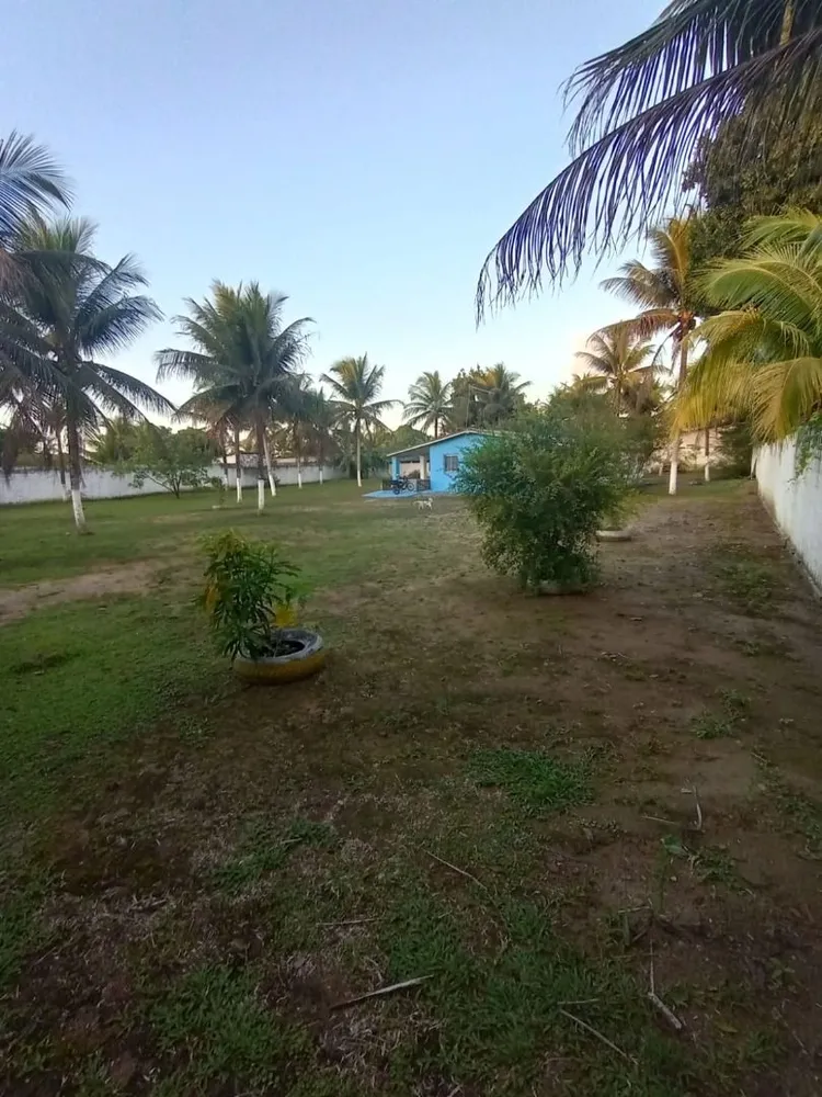 Sítio, 2 quartos, 1000 m² - Foto 15