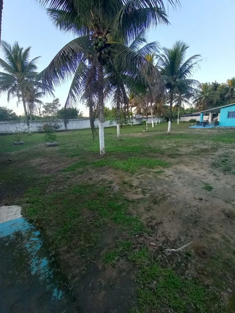 Sítio, 2 quartos, 1000 m² - Foto 16