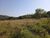 Sítio, 1 quarto, 40000 m² - Foto 2