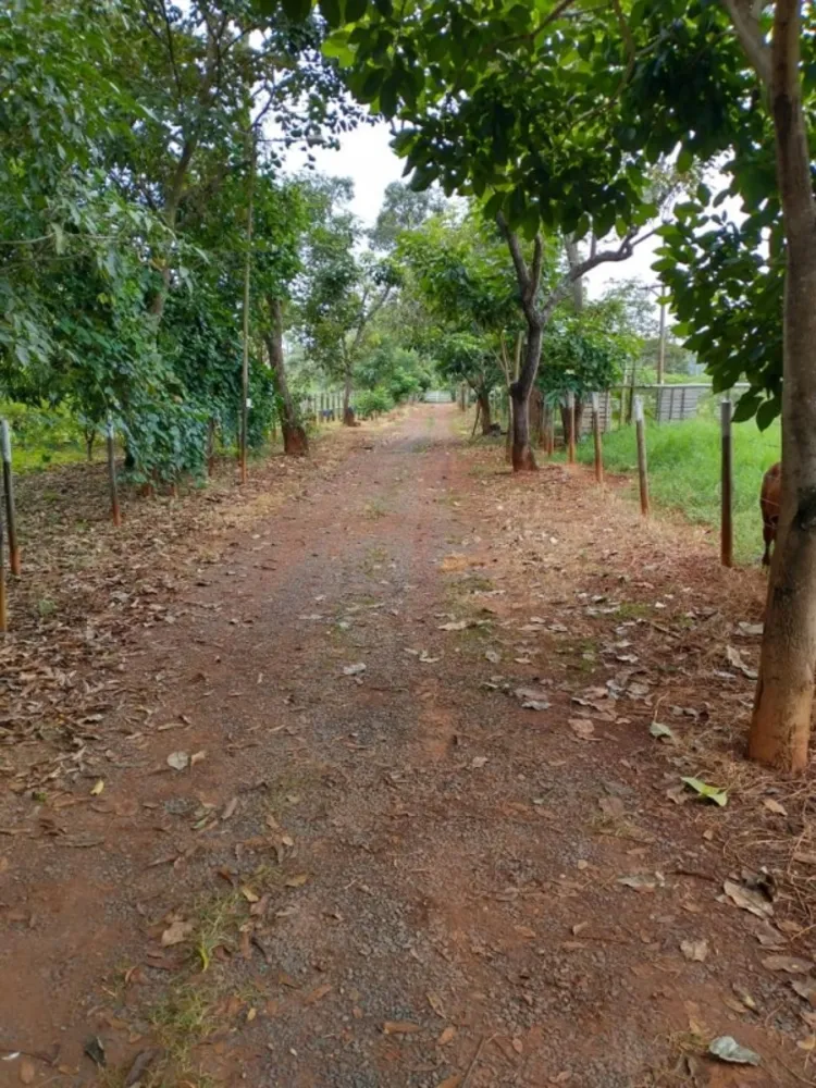 Sítio, 1 quarto, 60 m² - Foto 14