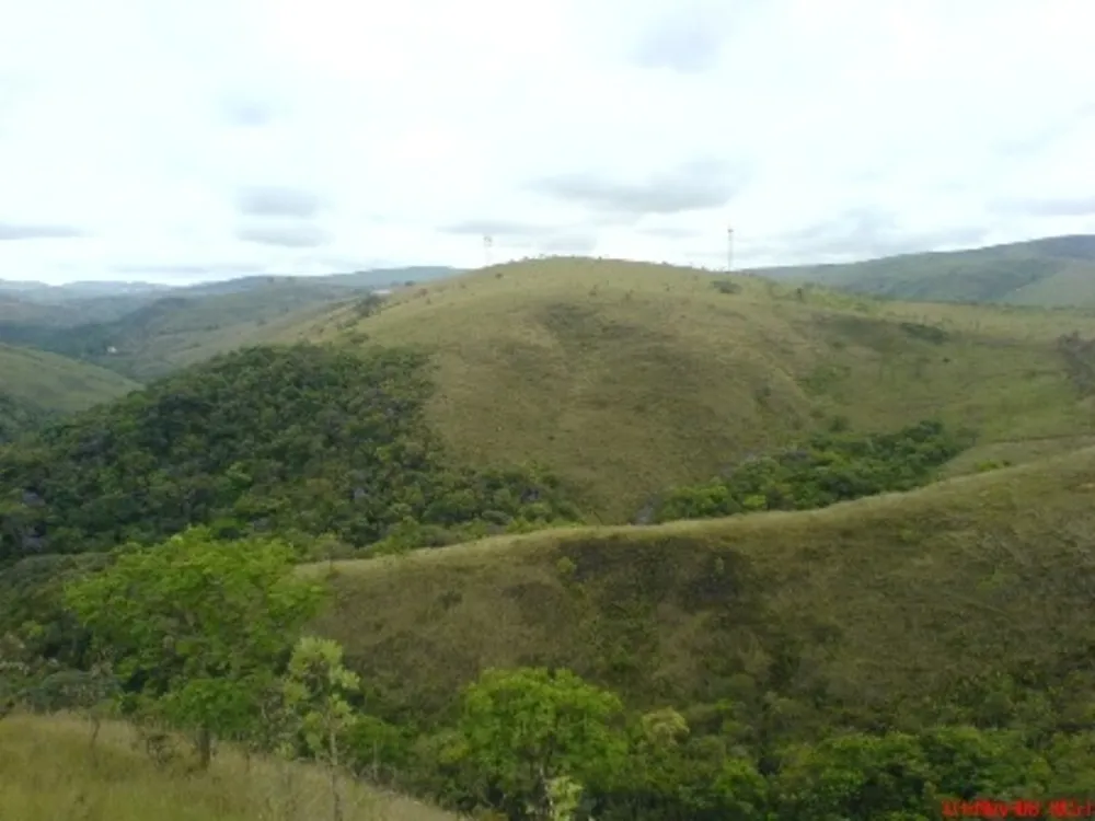 Terreno, 34 hectares - Foto 4