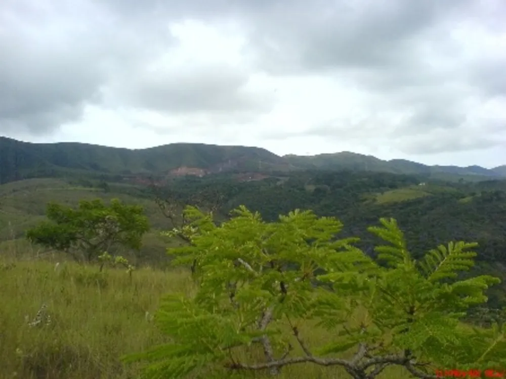 Terreno, 34 hectares - Foto 1