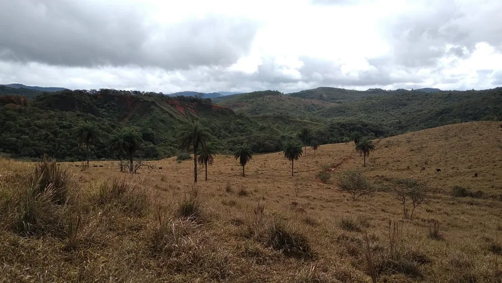 Terreno, 1200000 m² - Foto 1