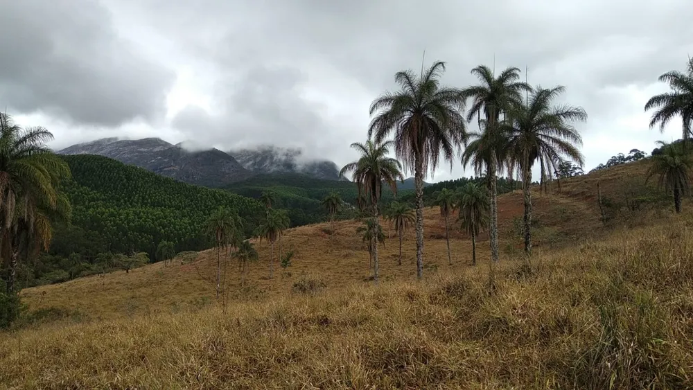 Terreno, 1200000 m² - Foto 4