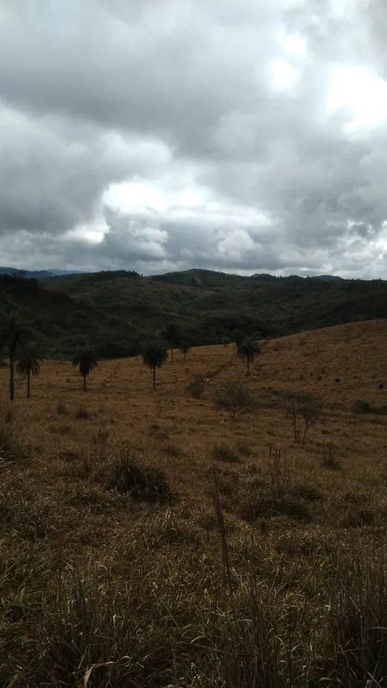 Terreno, 1200000 m² - Foto 7