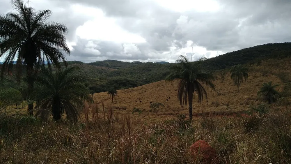 Terreno, 1200000 m² - Foto 5