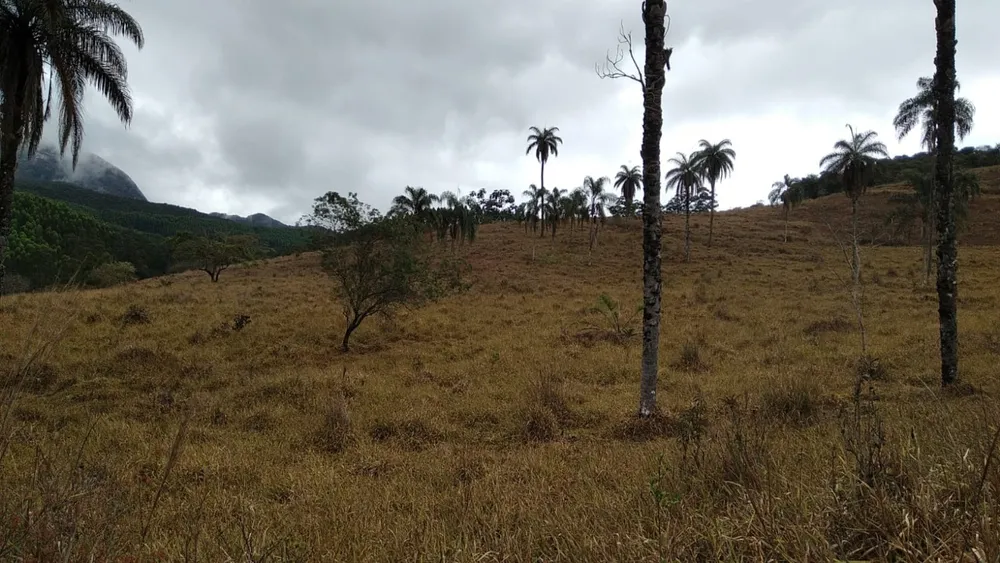 Terreno, 1200000 m² - Foto 3