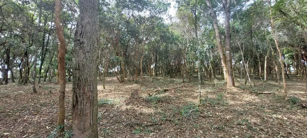 Terreno, 327 m² - Foto 8