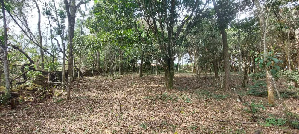 Terreno, 327 m² - Foto 10