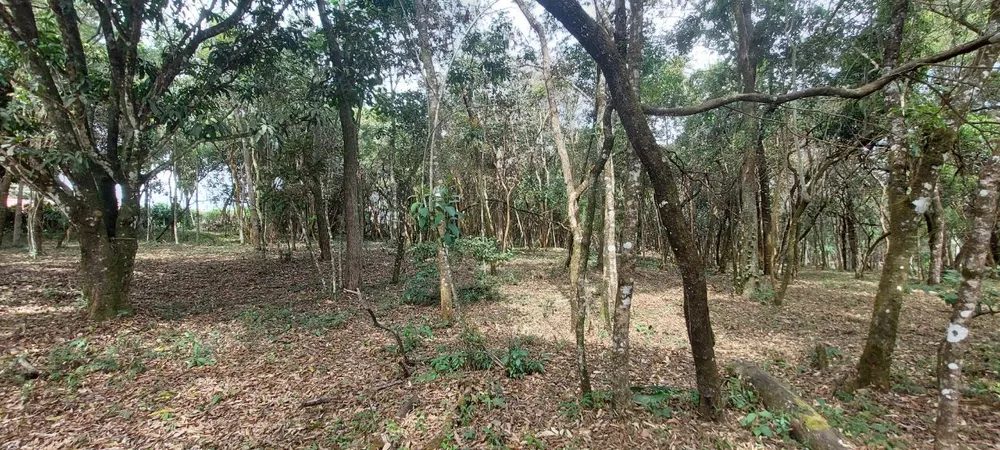 Terreno, 327 m² - Foto 11