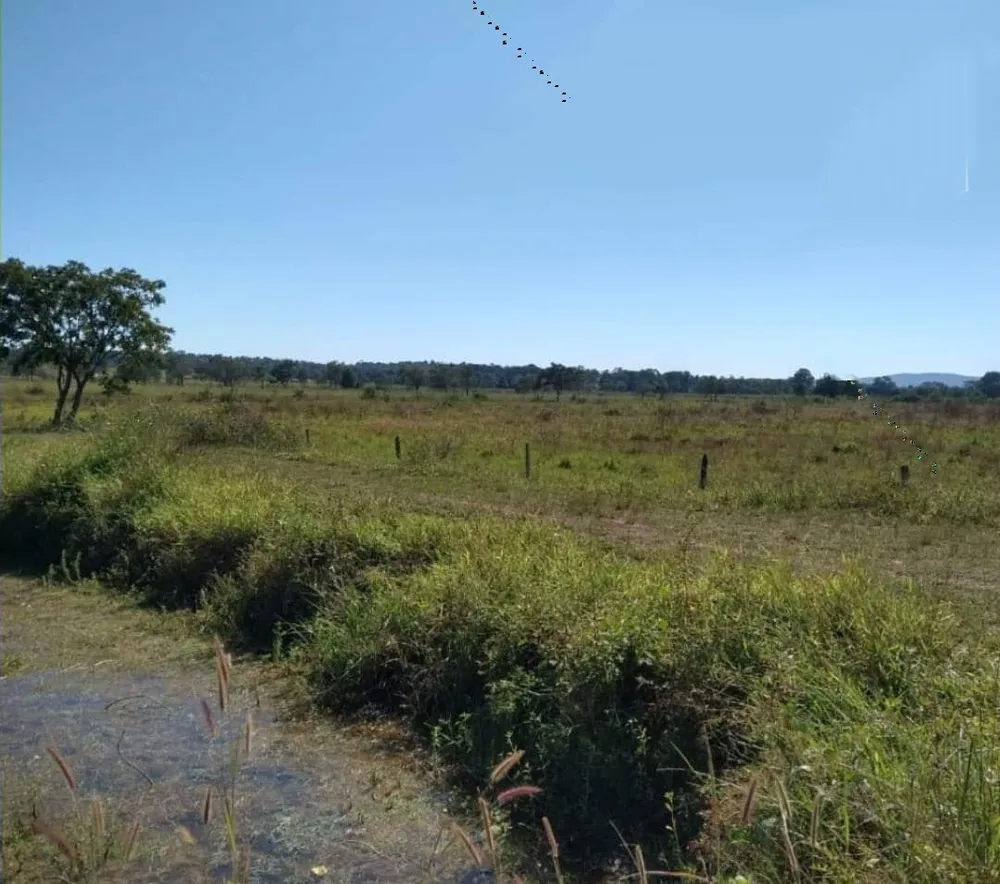 Fazenda, 3 quartos - Foto 3