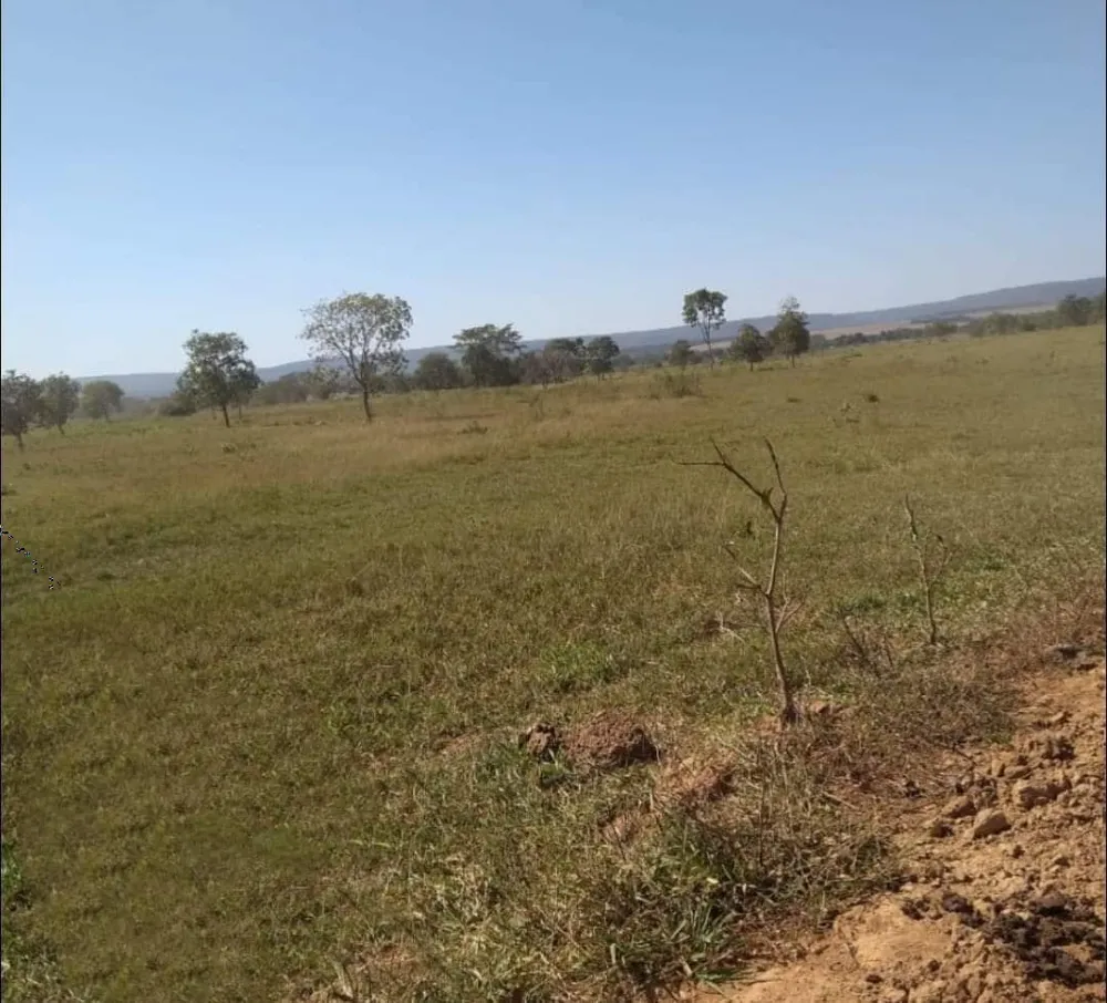 Fazenda, 3 quartos - Foto 4