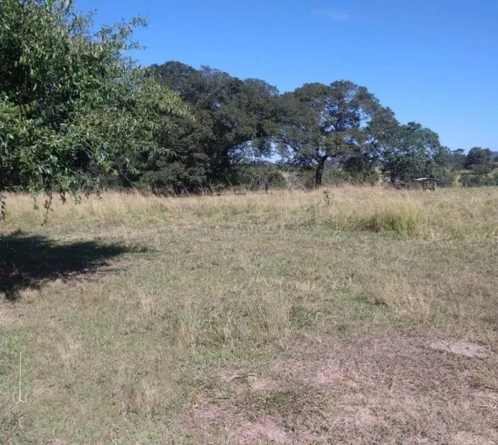 Fazenda, 3 quartos - Foto 8