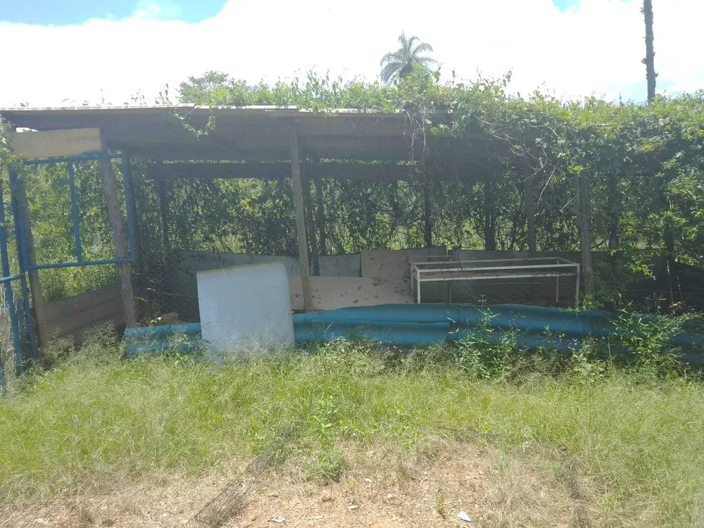 Chácara, 3 quartos, 1000 m² - Foto 11