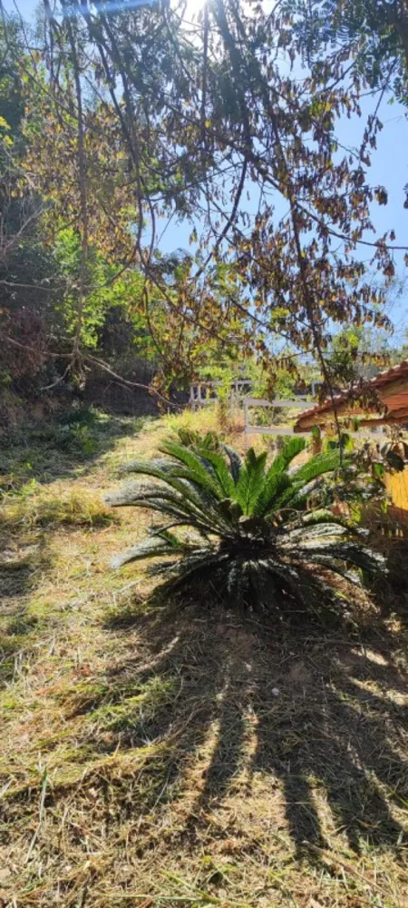 Chácara, 3 quartos, 1000 m² - Foto 18