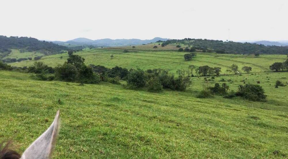 Fazenda à venda com 4 quartos, 3180000m² - Foto 2