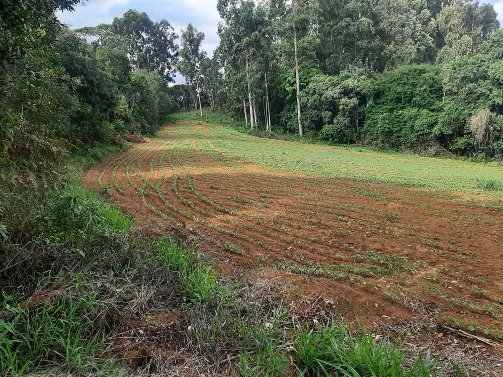 Chácara à venda com 1 quarto, 3338800m² - Foto 10