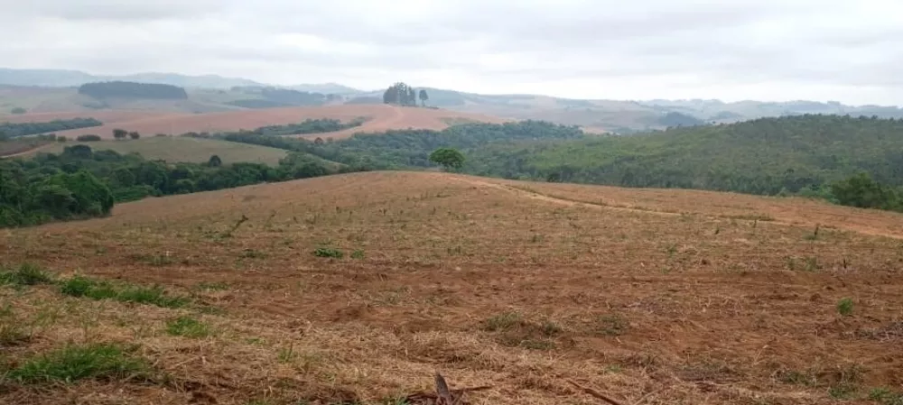 Chácara à venda com 1 quarto, 3338800m² - Foto 18