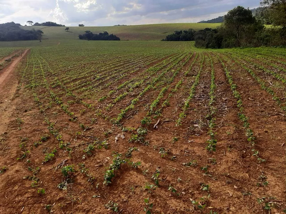 Chácara à venda com 1 quarto, 3338800m² - Foto 8