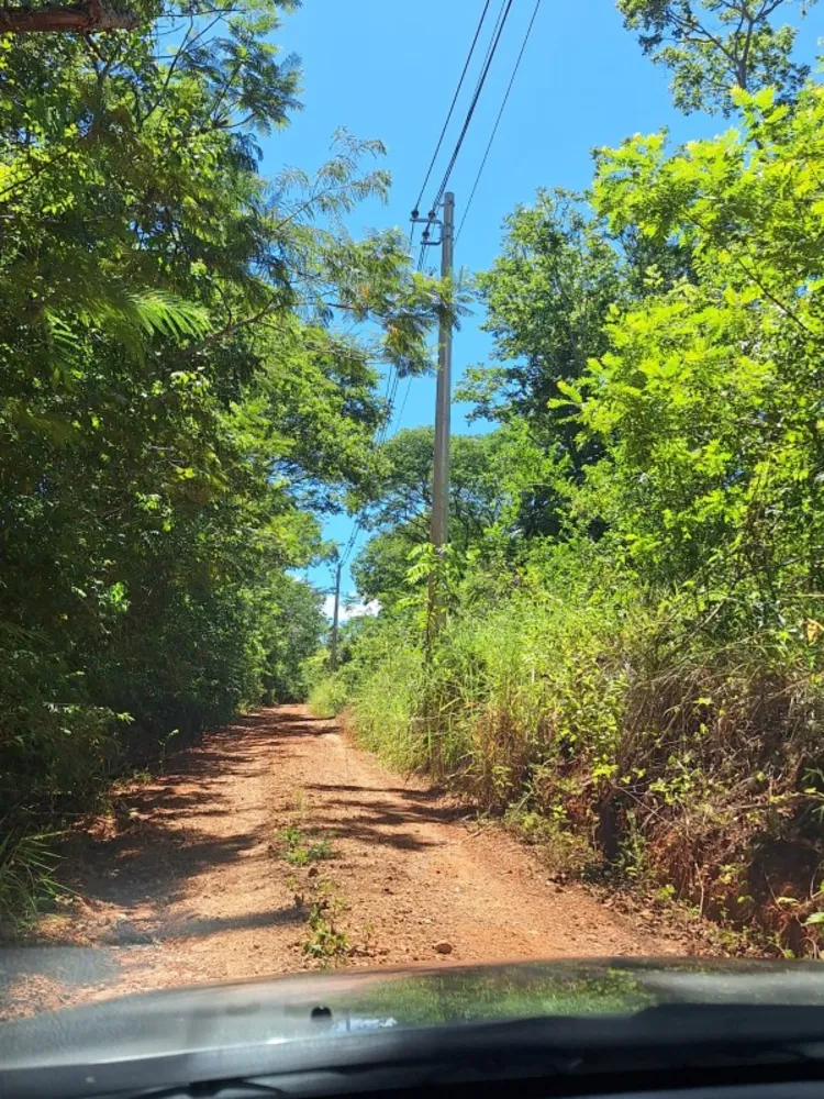 Fazenda, 1 quarto - Foto 4