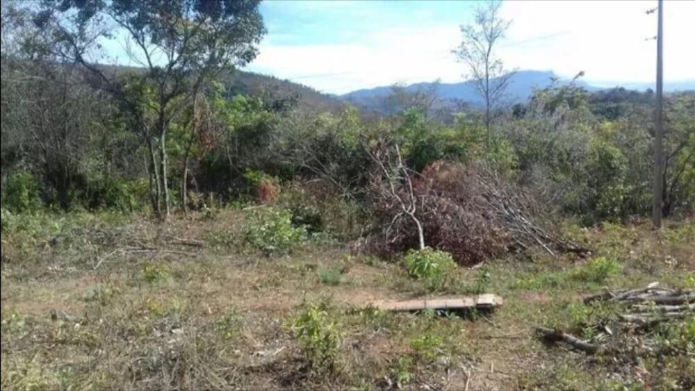 Terreno à venda, 103100m² - Foto 2