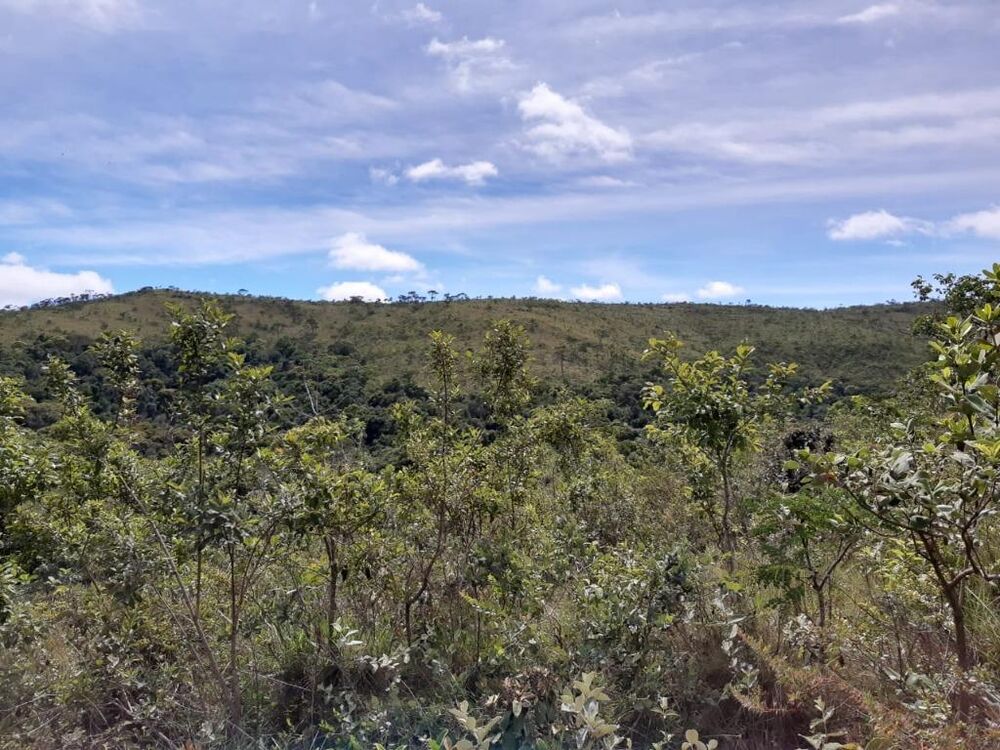 Terreno à venda, 103100m² - Foto 4