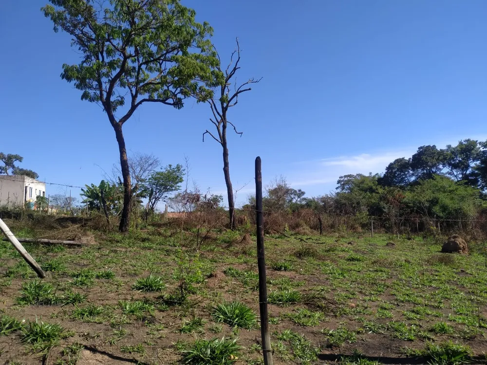 Terreno, 360 m² - Foto 2